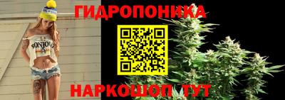 трава Апшеронск