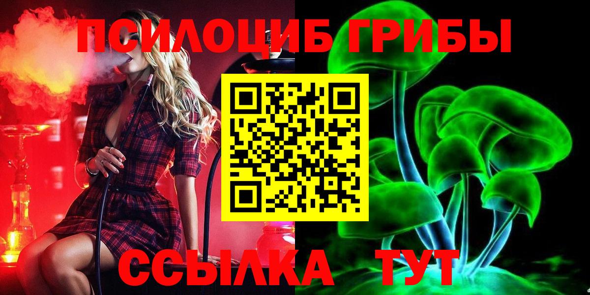 Псилоцибиновые грибы GOLDEN TEACHER  купить наркотик  Галлюциногенные грибы Psilocybine cubensis  Ахтубинск  Вход с VPN 